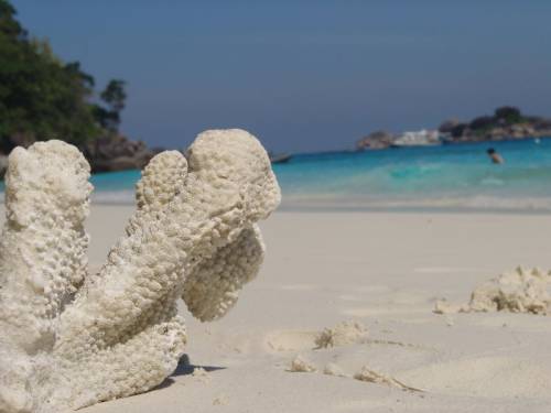 From Phuket with love